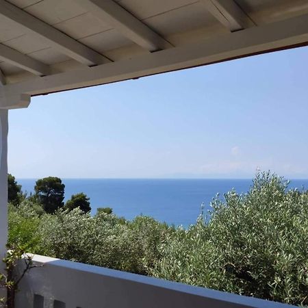 파티티리 Elia House 1 Astoning Sea View Among The Olive Trees 아파트 외부 사진