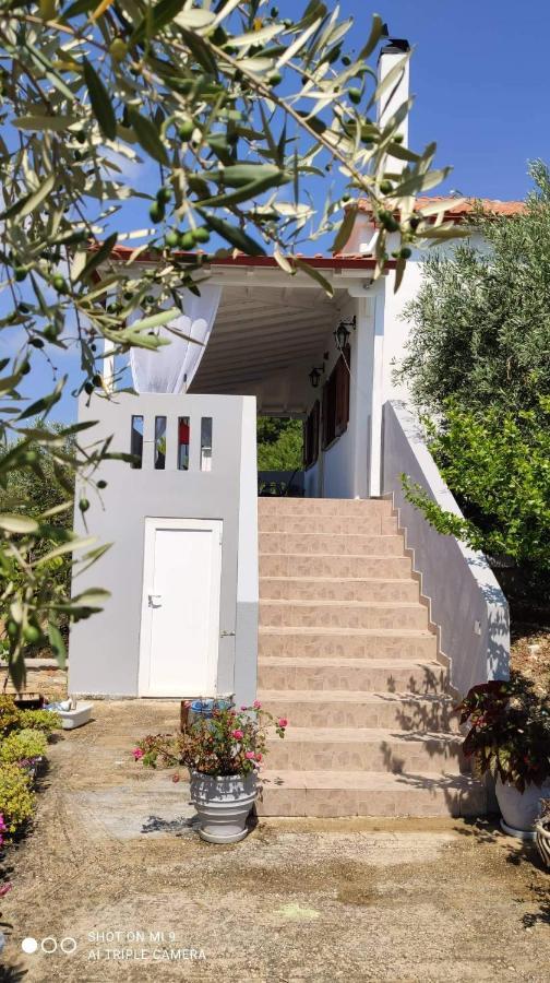 파티티리 Elia House 1 Astoning Sea View Among The Olive Trees 아파트 외부 사진